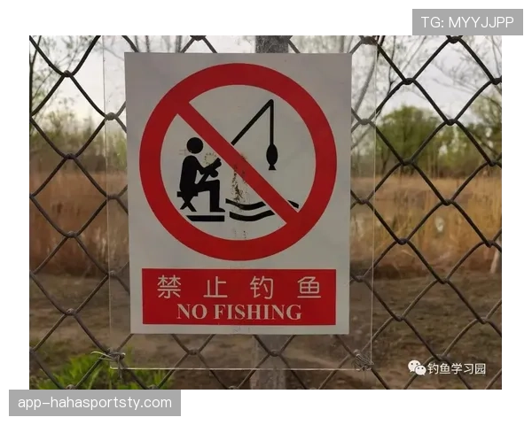 手部接触判定是什么规则？新手如何理解防守中的合法与非法接触